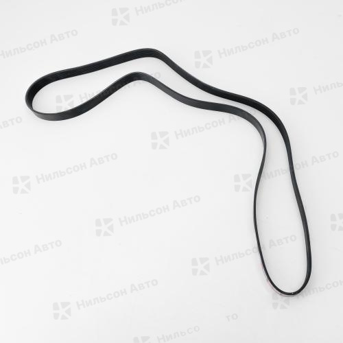 Ремень ручейковый 8PK2124, DONGIL