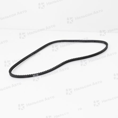 Ремень клиновидный 3455/6455, 13*1900 DONGIL