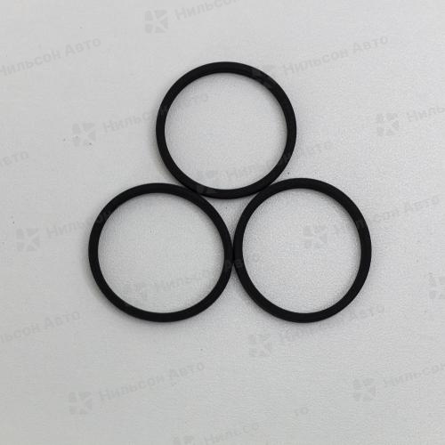 Кольцо уплотнительное 810832 FLAG (2410210049 BOSCH)