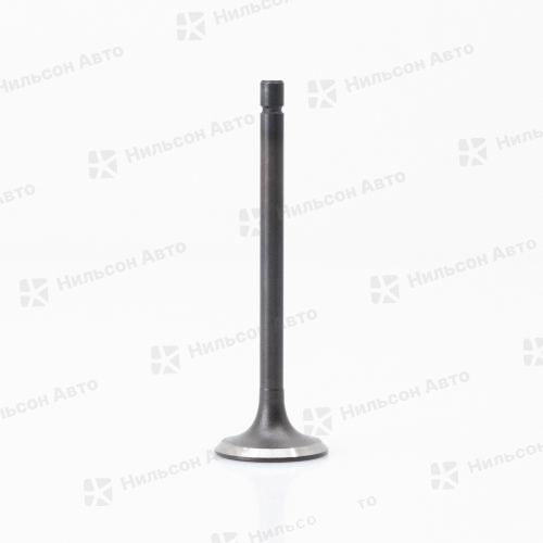 Клапан впускной ISUZU ELF 4JJ1, Nilson Auto Parts