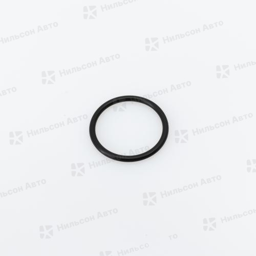 Кольцо уплотнительное F00VC38042 BOSCH