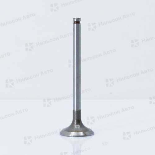 Клапан выпускной NISSAN ATLAS TD23, DOKURO