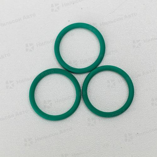 Кольцо уплотнительное 810834 FLAG (2410210033 BOSCH)