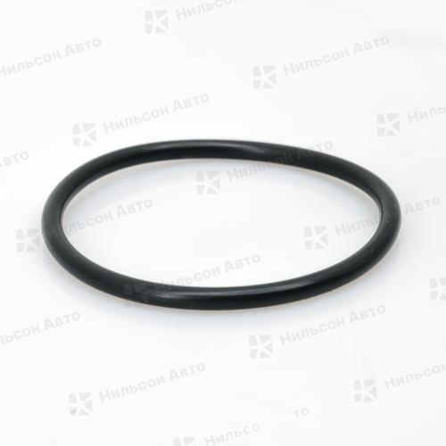 Сальник ступицы ГАЗЕЛЬ NEXT, 58*2, оригинал (для подшипника С41R92.3104020)