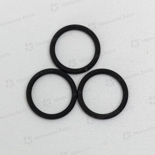 Кольцо уплотнительное 810001 FLAG (2410210014 BOSCH)