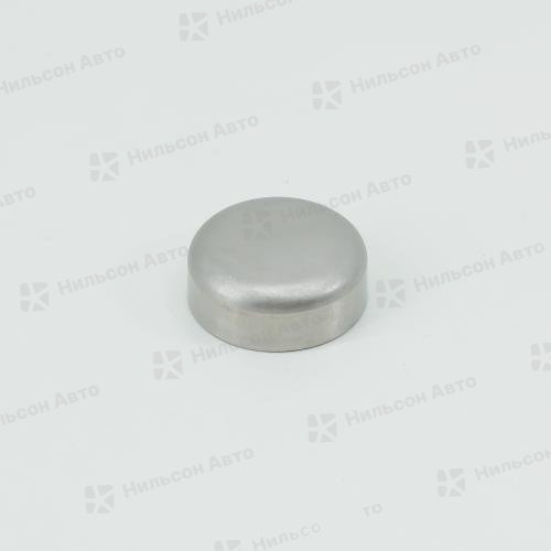 Заглушка головки блока ISUZU ELF 4HK1 металлическая, оригинал, диаметр 25мм