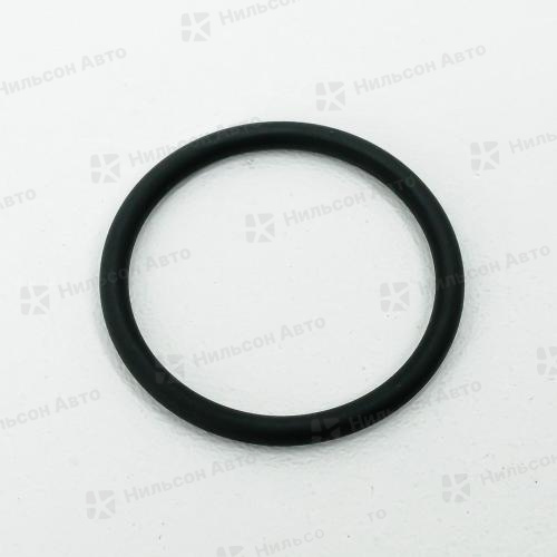 Уплотнительное кольцо RENAULT/МАЗ, BOSCH