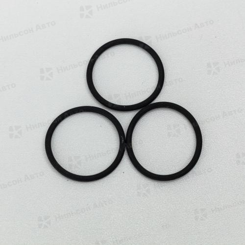 Кольцо уплотнительное 810005 FLAG (2410210004 BOSCH)