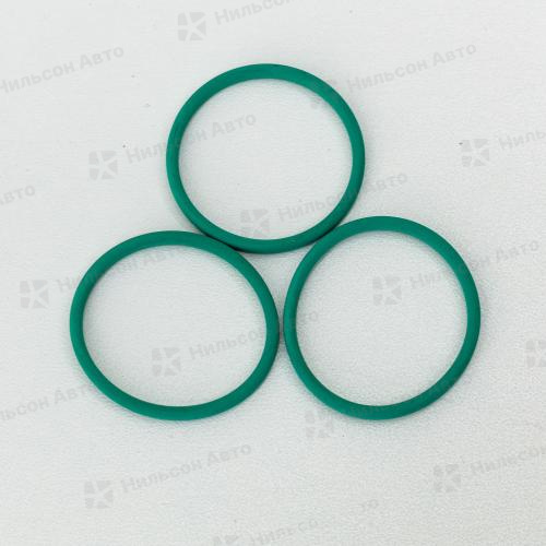 Кольцо уплотнительное 810006 FLAG (2410210039 BOSCH)