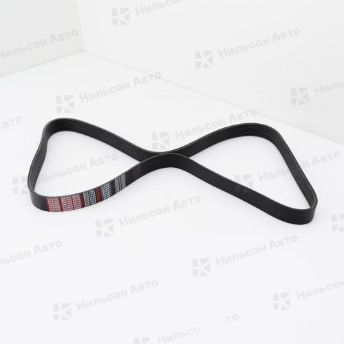Ремень ручейковый 8PK1509 DAYCO