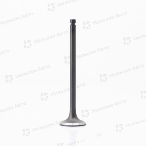 Клапан впускной MMC CANTER 4M50, Nilson Auto Parts