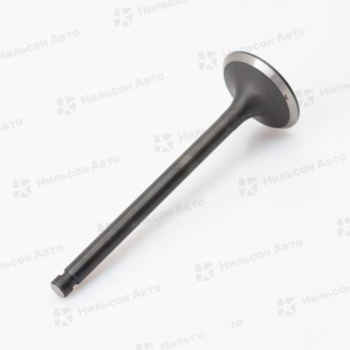 Клапан впускной MMC CANTER 4D32, 4D33, 4D34, вид 1, Nilson Auto Parts