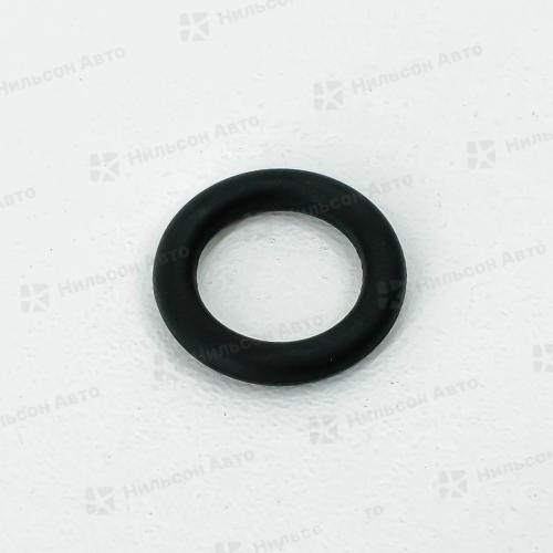 Уплотнительное кольцо RENAULT/МАЗ, BOSCH
