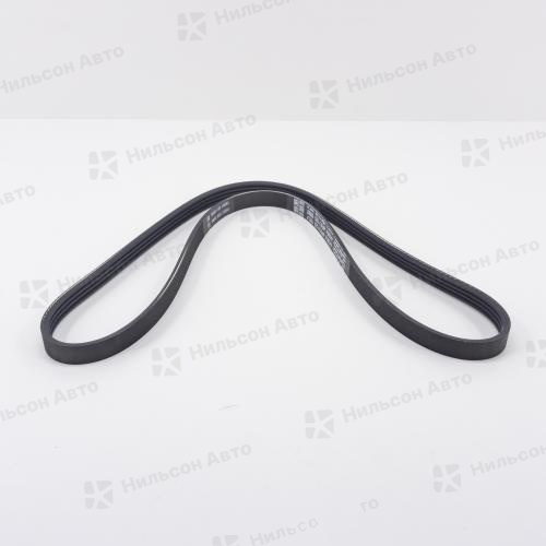 Ремень ручейковый 4PK1125 DAYCO