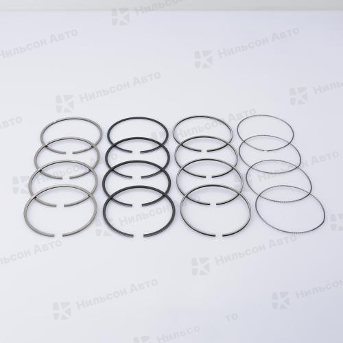 Кольца поршневые NISSAN ATLAS QD32, вид 1, TPR