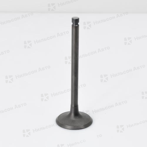 Клапан впускной MMC CANTER 4D32, 4D33, вид 1, Nilson Auto Parts