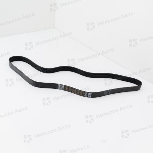 Ремень ручейковый 8PK1544, DONGIL